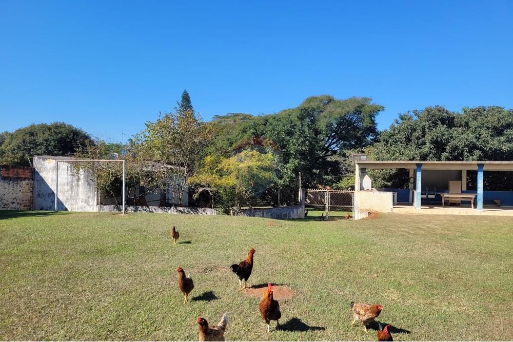 Chácara / Sítio / Fazenda - Venda - Araçoiaba da Serra , São Paulo - 20250601_102950.jpg - 630601294-1