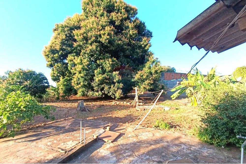 Casa - Venda - Andradina , São Paulo - Quintal 1.jpg - 631201014-54