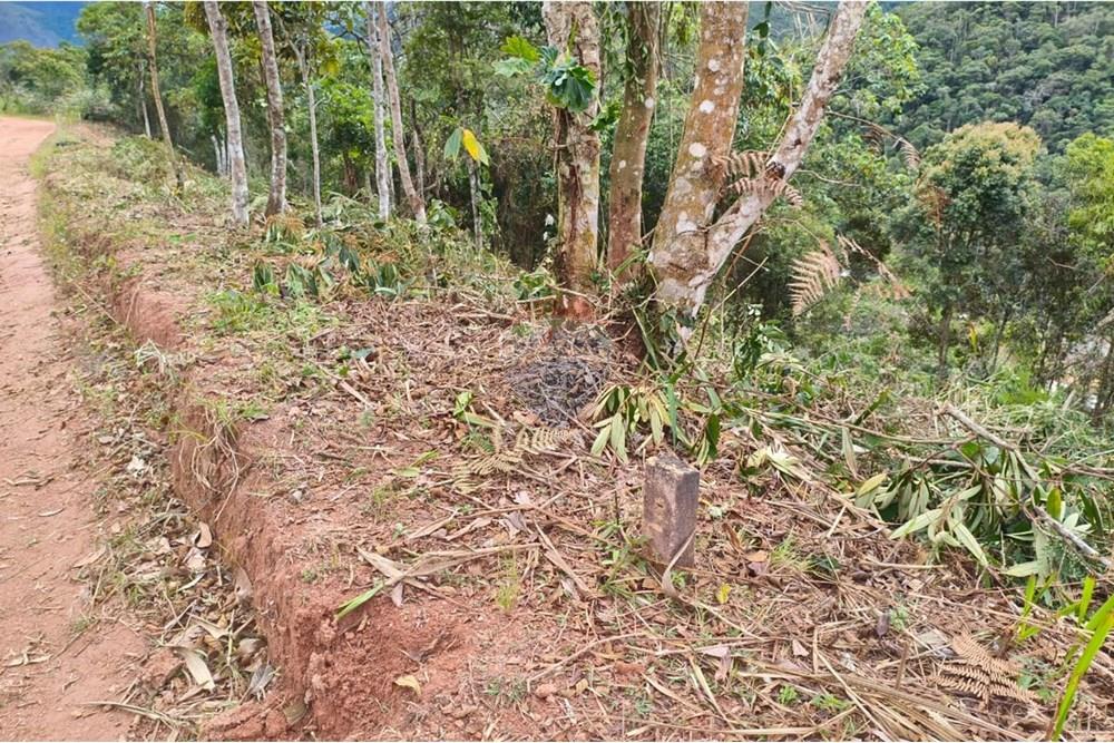 Terreno - Venda - Teresópolis , Rio de Janeiro - IMG-20250613-WA0013.jpg - 630191078-39