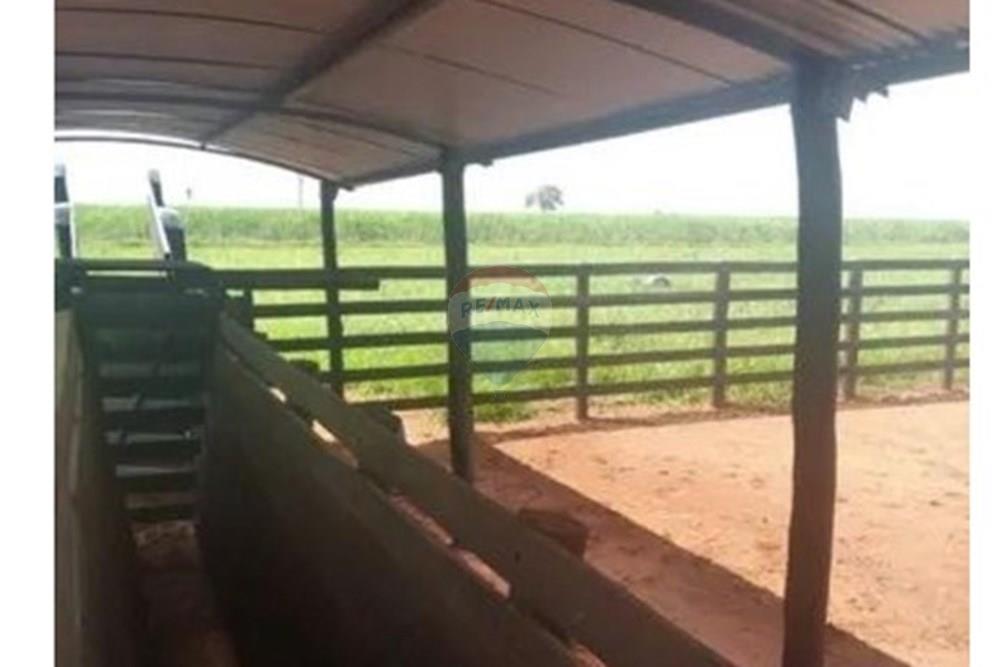 Chácara / Sítio / Fazenda - Venda - Junqueirópolis , São Paulo - WhatsApp Image 2024-10-26 at 10.20.01.jpeg - 630541038-36