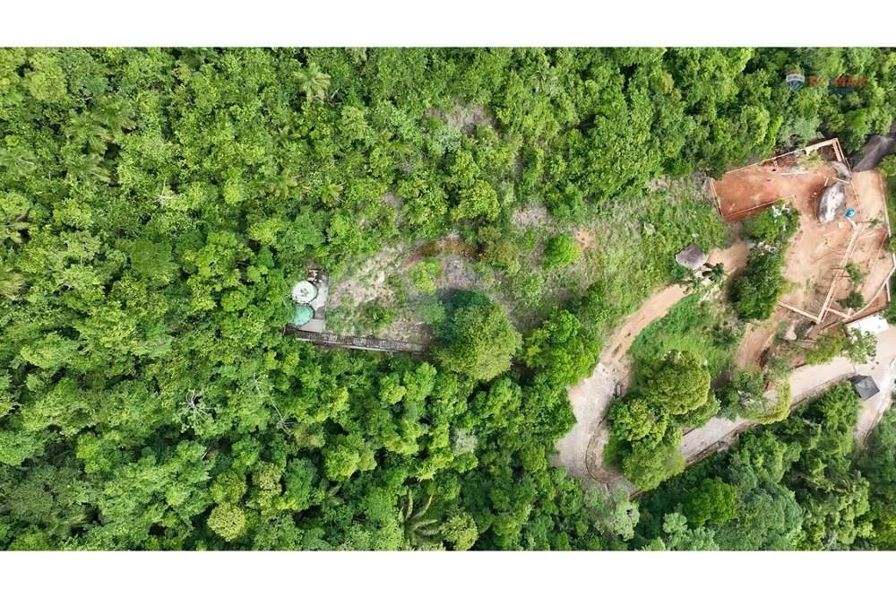 Terreno - Venda - Ilhabela , São Paulo - FOTOS (22).jpg - 630951006-33