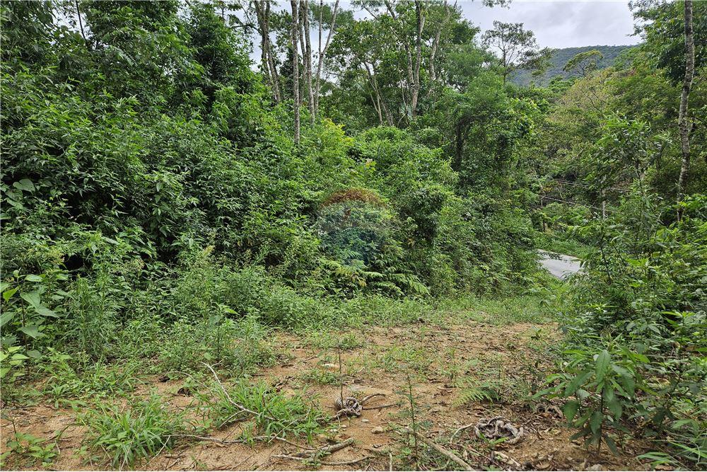 Terreno - Venda - Nova Friburgo , Rio de Janeiro - 44 - 630551016-143