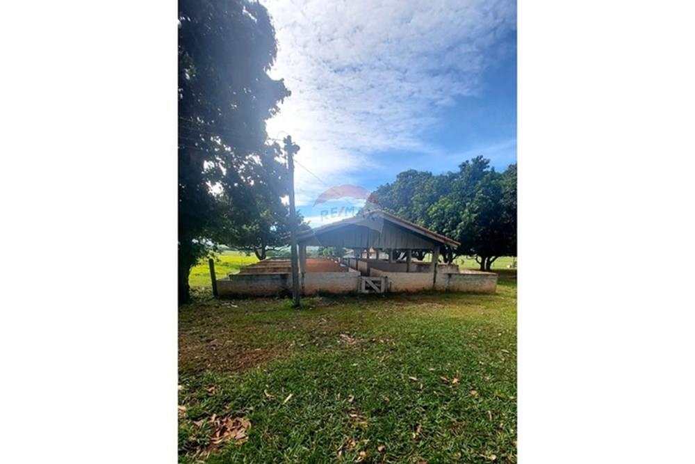 Chácara / Sítio / Fazenda - Venda - Araçatuba , São Paulo - WhatsApp Image 2024-10-29 at 14.36.53.jpeg - 630541038-37