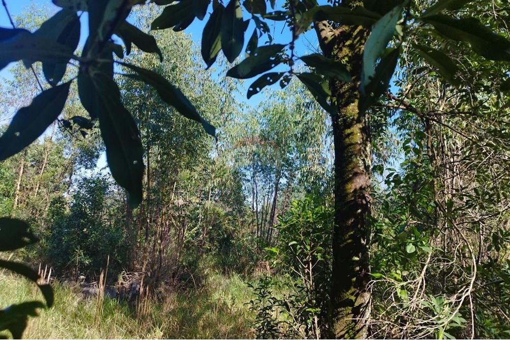 Terreno - Venda - Cabreúva , São Paulo - Terreno Maria Tereza 7.jpg - 630531013-11