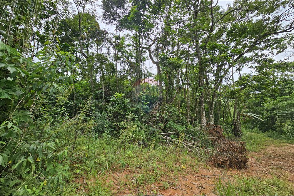 Terreno - Venda - Nova Friburgo , Rio de Janeiro - 39 - 630551016-143