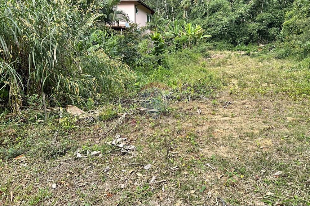 Terreno - Venda - Nova Friburgo , Rio de Janeiro - IMG_6136 (1).jpg - 630551016-151