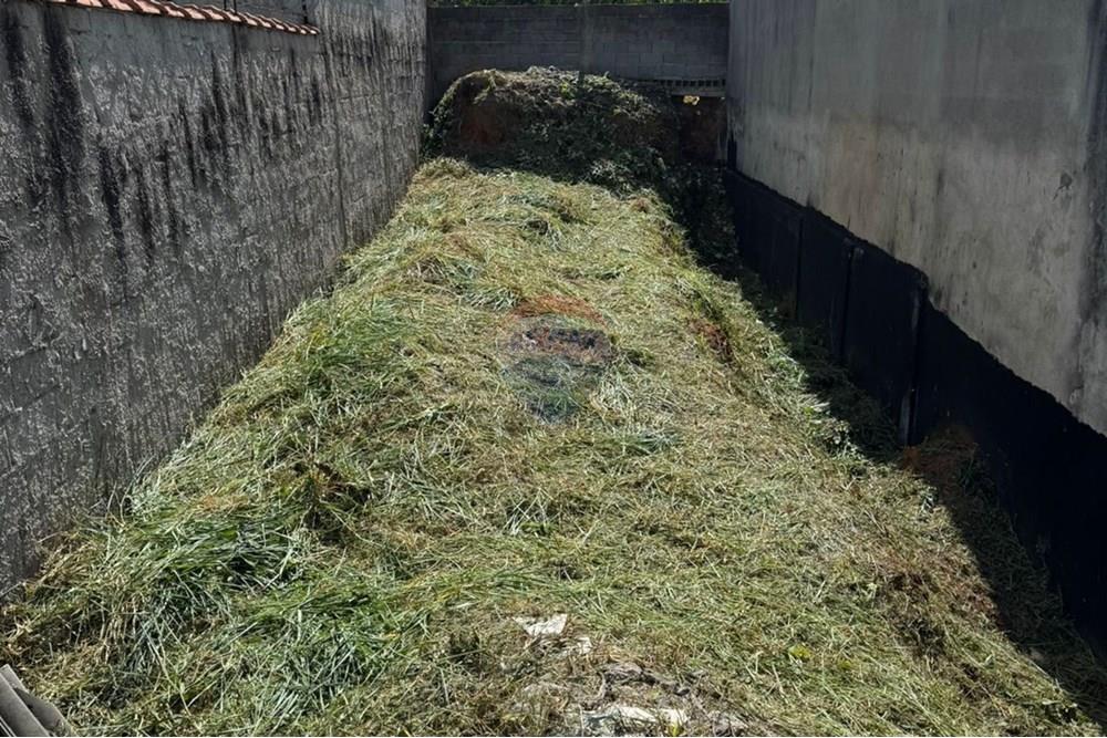 Casa - Venda - Arujá , São Paulo - WhatsApp Image 2025-01-24 at 14.29.02 (2).jpeg - 630251078-93