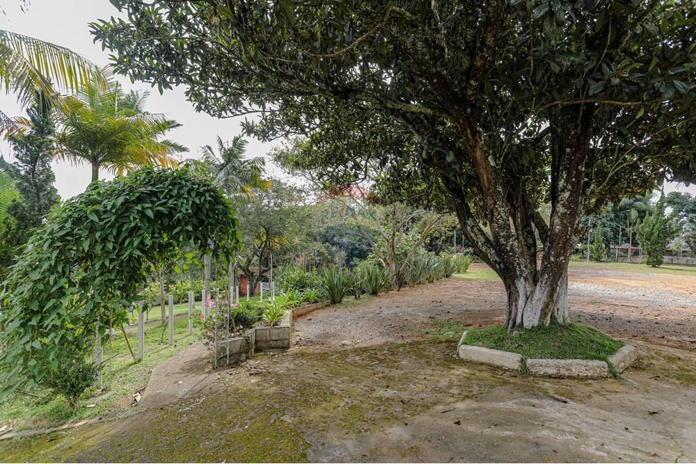 Chácara / Sítio / Fazenda - Venda - Suzano , São Paulo - Estr. Pinheiros 373-8446.jpg - 630281011-758