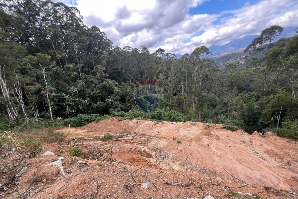 Terreno - Venda - Petrópolis , Rio de Janeiro - WhatsApp Image 2025-08-15 at 16.56.04.jpeg - 630131062-39