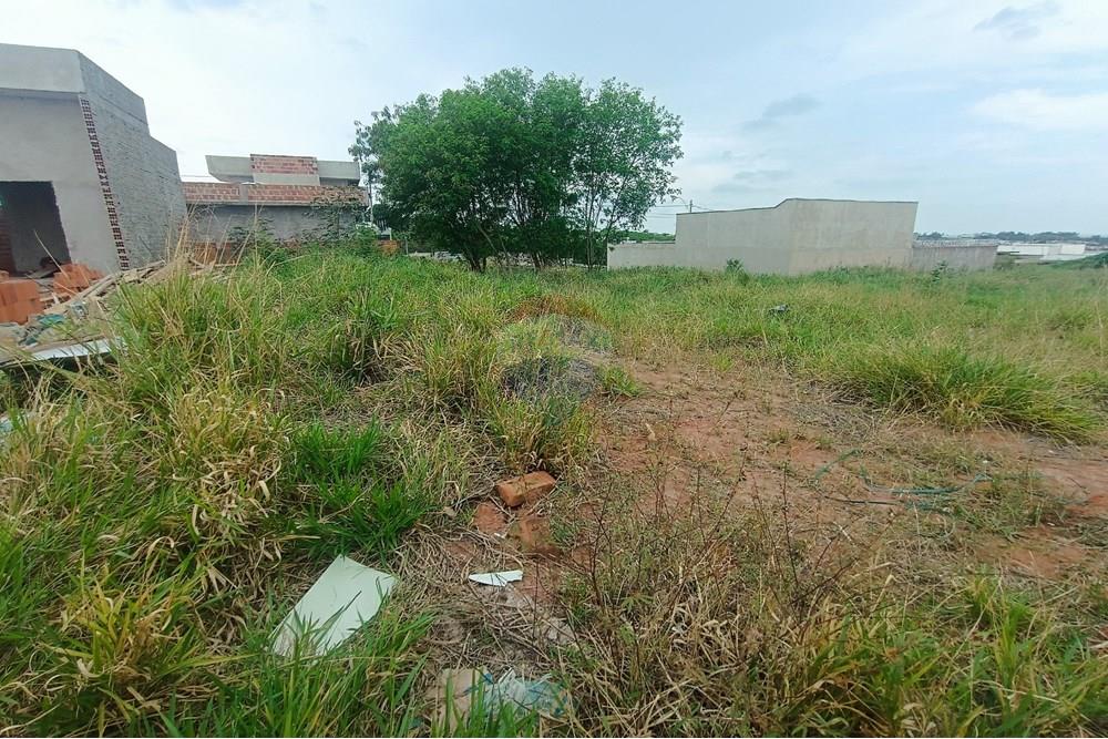 Terreno - Venda - Presidente Prudente , São Paulo - IMG_20251028_120138.jpg - 630861066-13