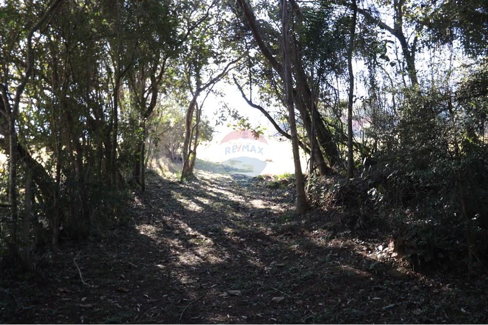 Casa de Campo - Venda - São Roque , São Paulo - IMG_4126.JPG - 631601009-26