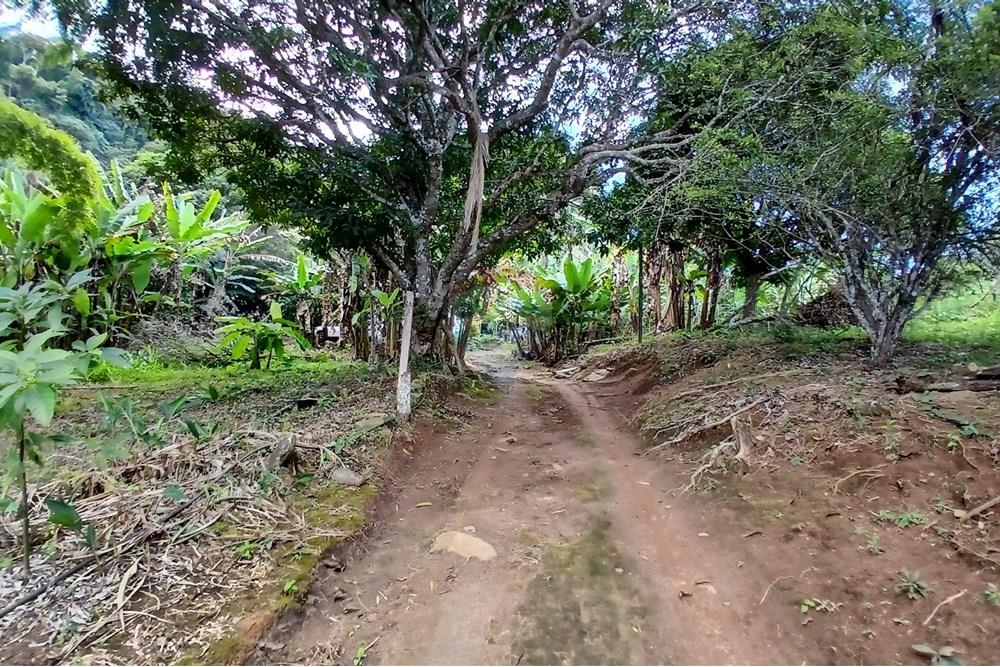 Chácara / Sítio / Fazenda - Venda - Sumidouro , Rio de Janeiro - 20250614_113201.jpg - 630551084-18