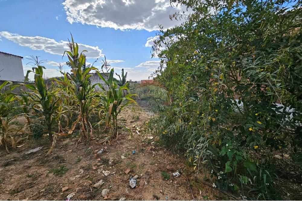 Terreno - Alugar - Salto de Pirapora , São Paulo - IMG-20241107-WA0011.jpg - 631181001-439