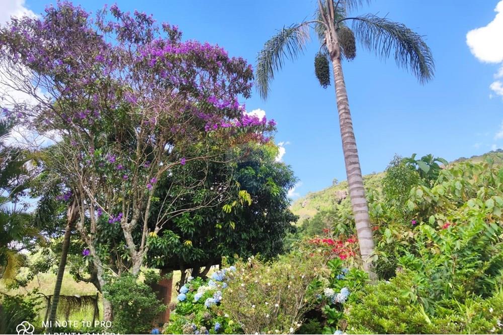 Chácara / Sítio / Fazenda - Venda - Toledo , Minas Gerais - WhatsApp Image 2025-02-28 at 19.59.38.jpeg - 630251077-56