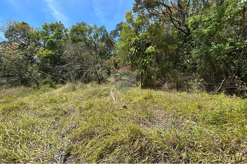 Terreno - Venda - Mairiporã , São Paulo - Imagem do WhatsApp de 2025-10-20 à(s) 12.13.03_bc0e1076.jpg - 631361005-153