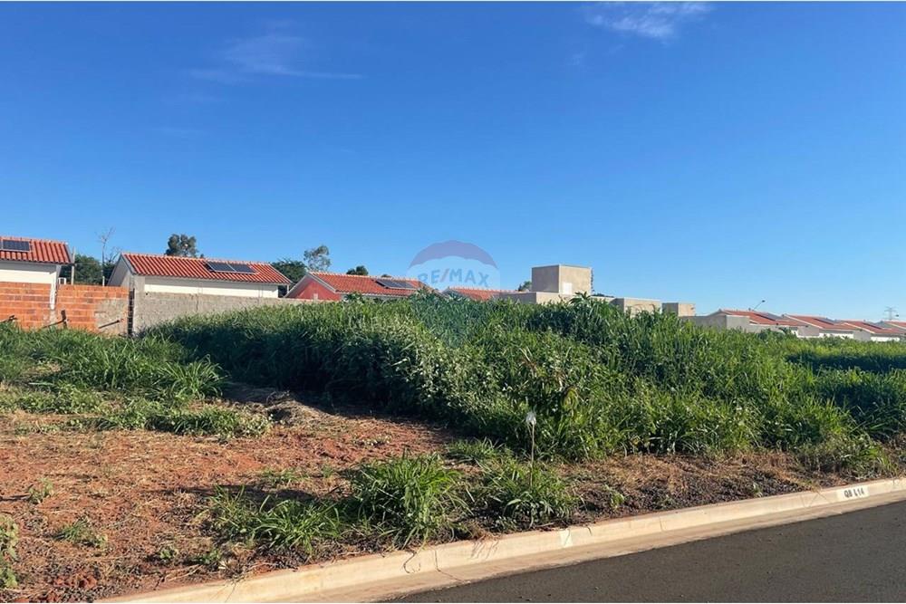 Terreno - Venda - Bady Bassitt , São Paulo - WhatsApp Image 2025-01-14 at 17.34.39 (1).jpeg - 631481002-92