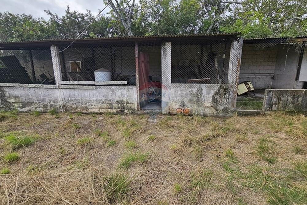 Chácara / Sítio / Fazenda - Venda - Araruama , Rio de Janeiro - GALINHEIRO.JPG - 631591007-11