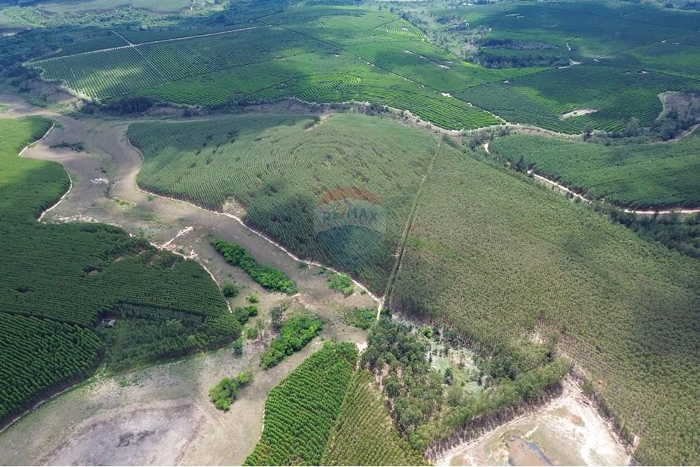 Chácara / Sítio / Fazenda - Venda - Bofete , São Paulo - 3-DJI_0264.jpg - 630481027-104