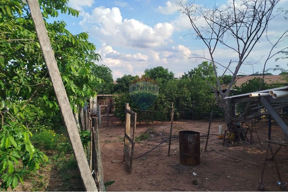 Chácara / Sítio / Fazenda - Venda - Tupã , São Paulo - IMG-20241205-WA0081.jpg - 630151002-125