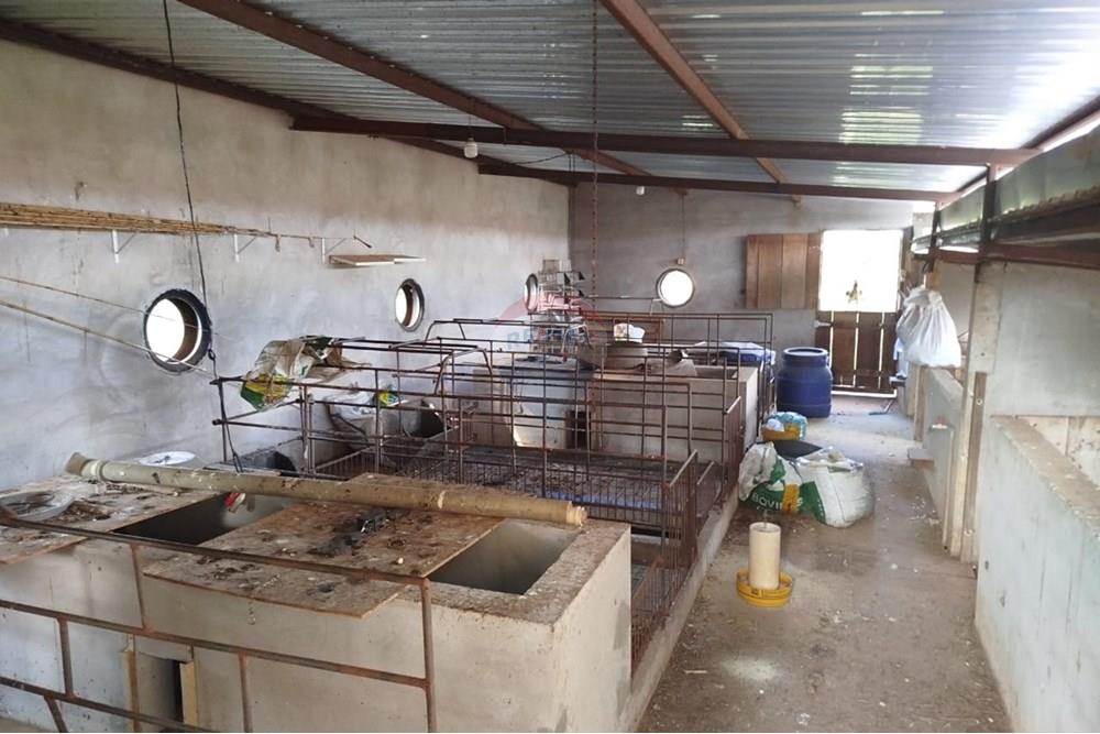 Chácara / Sítio / Fazenda - Venda - Tupã , São Paulo - IMG-20241205-WA0083.jpg - 630151002-125