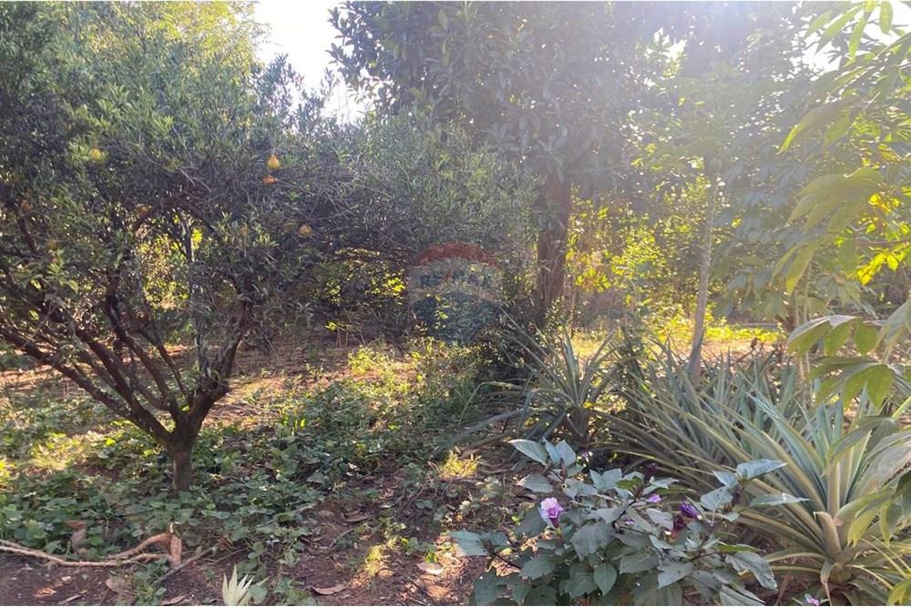 Chácara / Sítio / Fazenda - Venda - Lins , São Paulo - WhatsApp Image 2025-08-12 at 20.28.54 (6).jpeg - 631011037-40