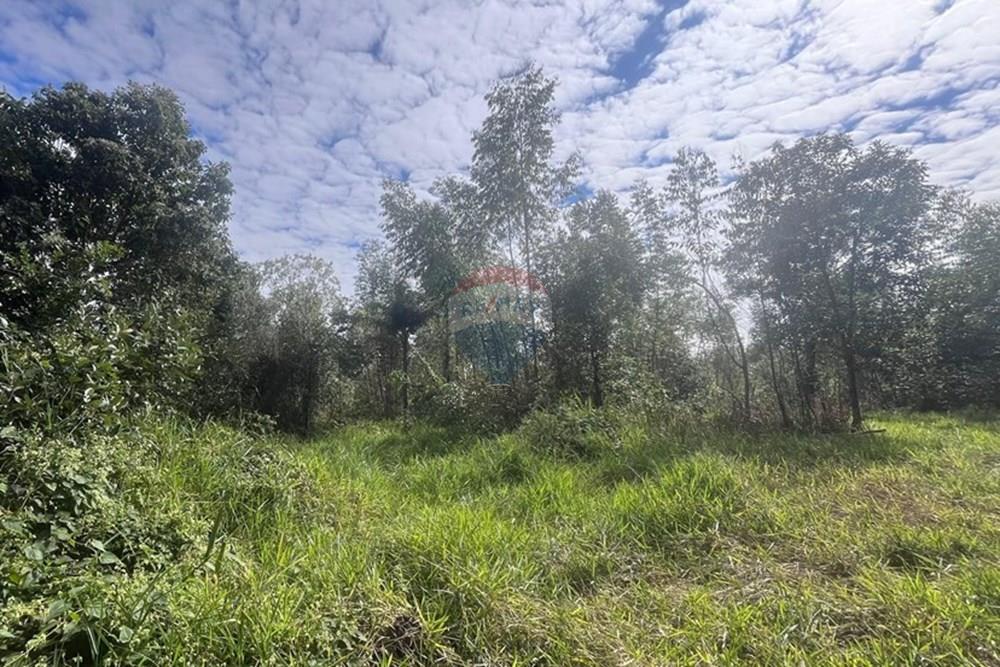 Terreno - Venda - Cabreúva , São Paulo - foto 17.jpg - 630531013-11