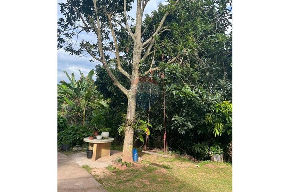 Chácara / Sítio / Fazenda - Venda - São Roque , São Paulo - WhatsApp Image 2025-05-23 at 10.23.04 (2).jpeg - 631601006-56