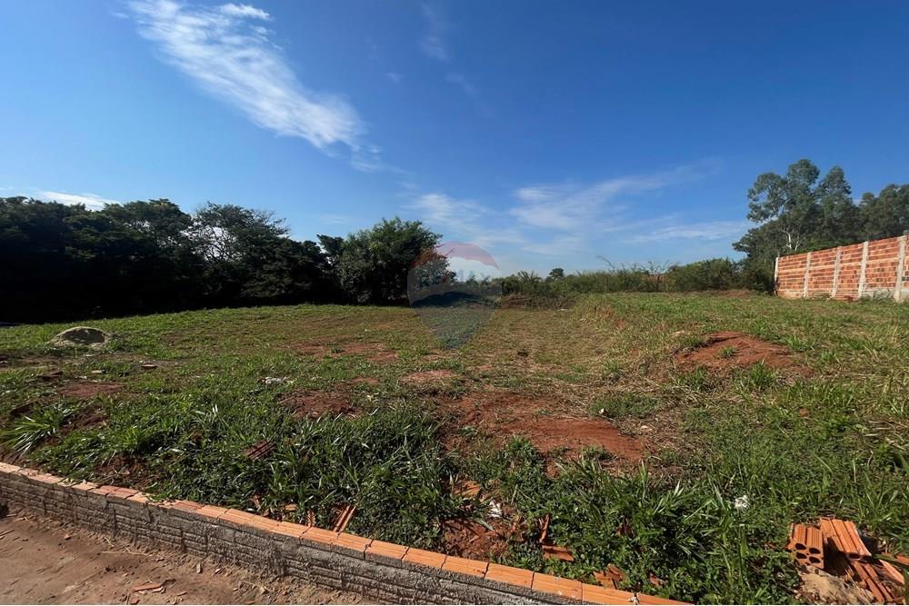 Terreno - Venda - São José do Rio Preto , São Paulo - IMG_7263.JPG - 630401028-48