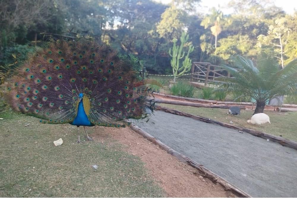 Casa de Condomínio - Venda - Sorocaba , São Paulo - Casa com 3 suítes à venda no Condomínio Golden Park 2 em Sorocaba – REMAX SHMONE  (29).jpg - 631581002-36