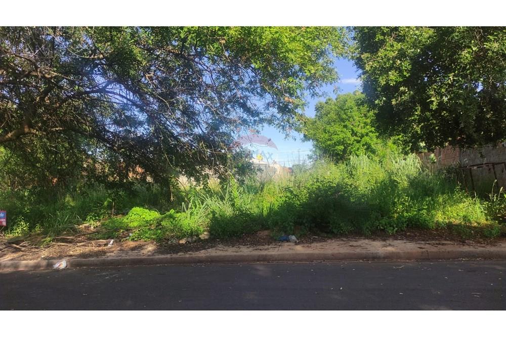 Terreno - Venda - Andradina , São Paulo - WhatsApp Image 2025-01-29 at 08.18.34 (2).jpeg - 631201044-121