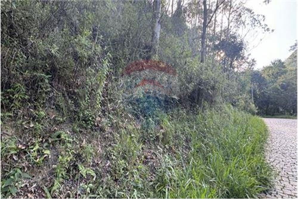 Terreno - Venda - Nova Friburgo , Rio de Janeiro - L_6e2f3d35-69f7-47e2-af8a-42339d598870_iList.jpg - 630551023-411