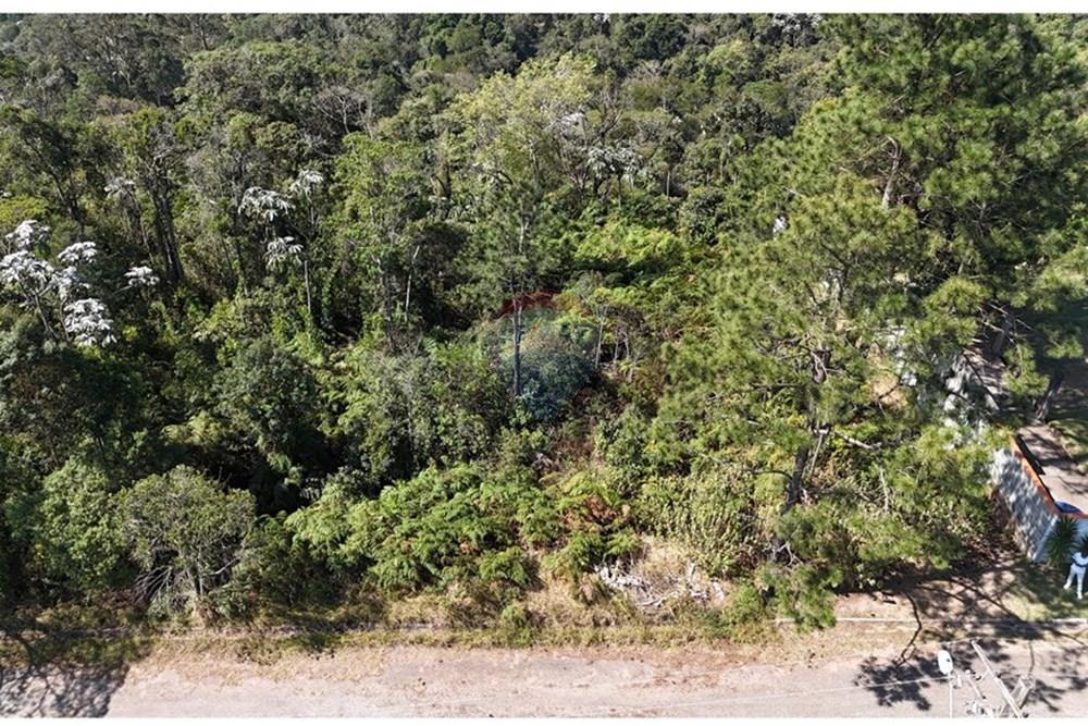 Terreno - Venda - Mogi das Cruzes , São Paulo - DJI_20250911140628_0662_D.JPG - 631251050-24