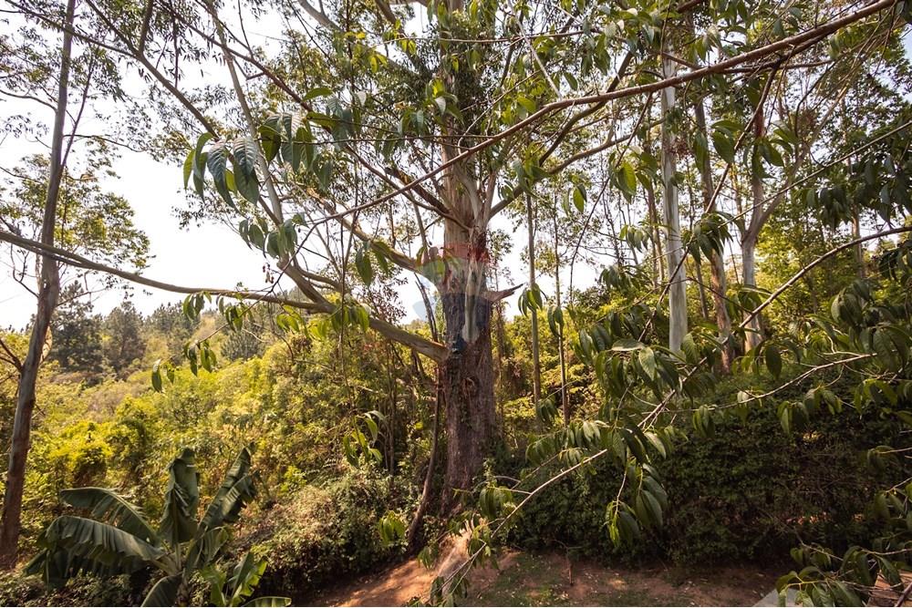 Casa de Condomínio - Venda - Ibiúna , São Paulo - IMG_6875.jpg - 631331006-47