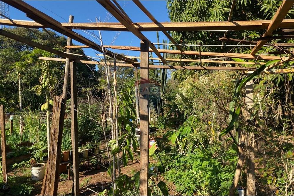 Chácara / Sítio / Fazenda - Venda - Lins , São Paulo - WhatsApp Image 2025-08-12 at 20.28.53.jpeg - 631011037-40