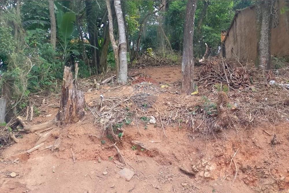 Terreno - Venda - Mairiporã , São Paulo - WhatsApp Image 2025-10-09 at 10.54.33.jpeg - 631361059-8