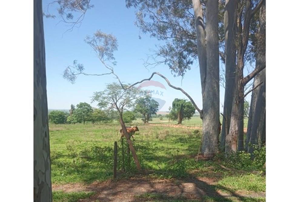 Chácara / Sítio / Fazenda - Venda - Valentim Gentil , São Paulo - WhatsApp Image 2024-11-17 at 09.37.09 (1).jpeg - 630541038-19