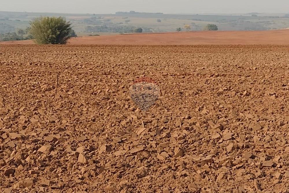 Chácara / Sítio / Fazenda - Venda - Tupã , São Paulo - WhatsApp Image 2024-10-18 at 20.43.07.jpeg - 630541038-17