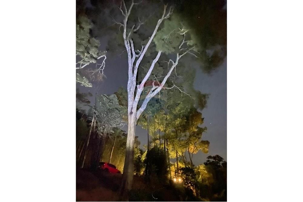 Terreno - Venda - Petrópolis , Rio de Janeiro - WhatsApp Image 2025-10-22 at 06.22.10 (5).jpeg - 630131067-229