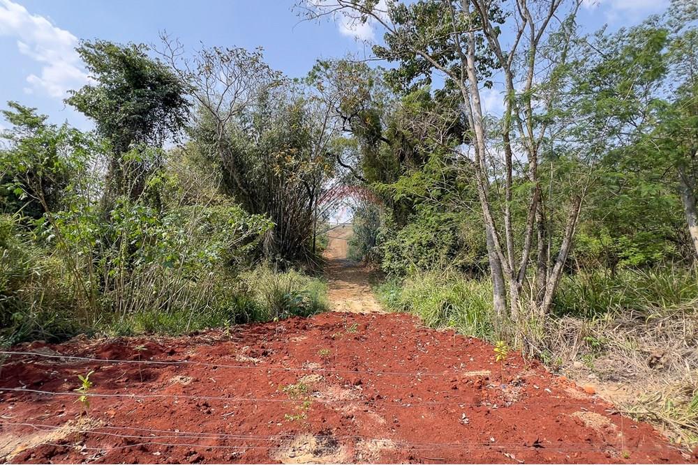 Terreno - Venda - Boituva , São Paulo - IMG_3585_DNG.jpg - 630601137-102