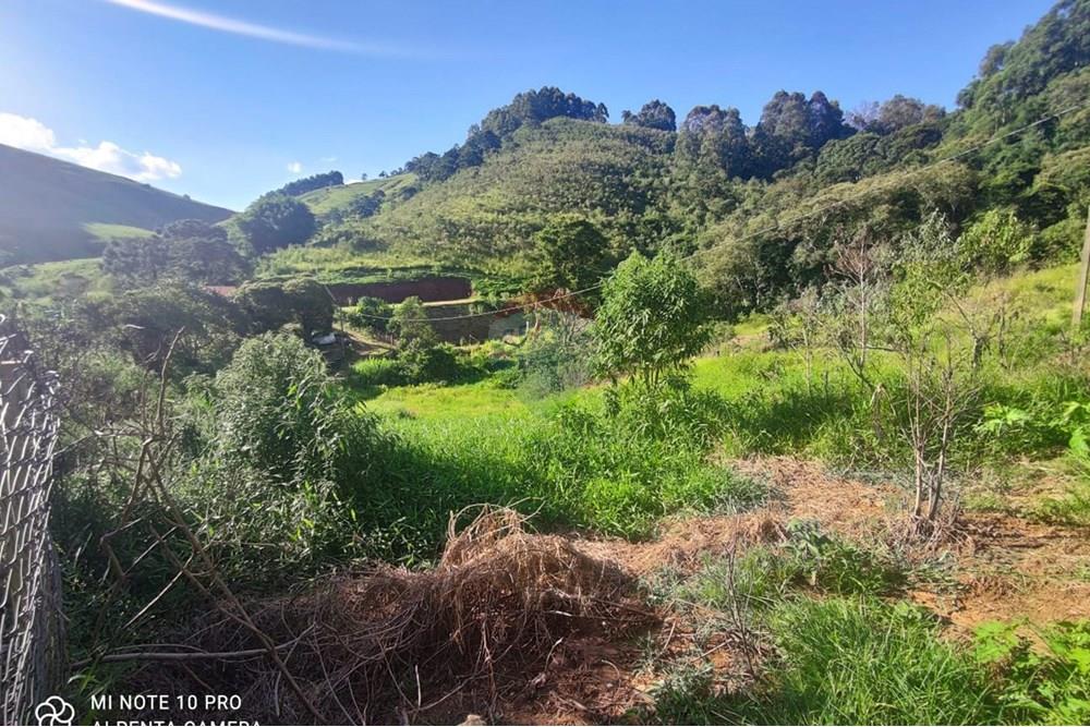 Chácara / Sítio / Fazenda - Venda - Toledo , Minas Gerais - WhatsApp Image 2025-02-28 at 11.28.48 (1).jpeg - 630251077-54