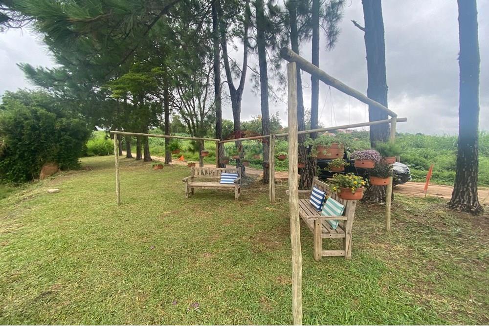 Terreno - Venda - Cabreúva , São Paulo - vivejo foto 2.jpg - 630531013-7