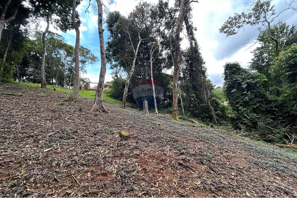 Terreno - Venda - Nova Friburgo , Rio de Janeiro - IMG_0247.JPG - 630551085-21