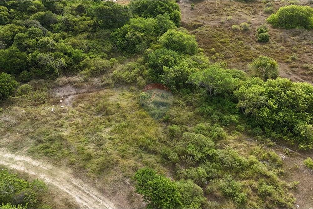 Terreno - Venda - Armação dos Búzios , Rio de Janeiro - dji_fly_20250310_154250_0011_1742265329702_photo.JPG - 630391033-19