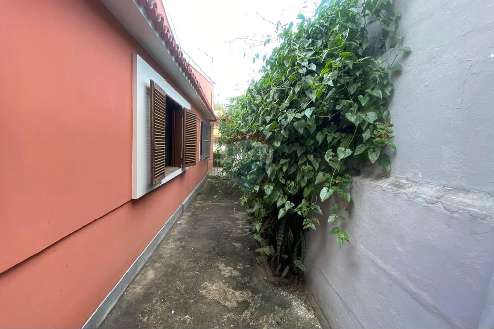 Casa Comercial - Alugar - Teresópolis , Rio de Janeiro - WhatsApp Image 2025-02-06 at 17.27.56.jpeg - 630191064-37