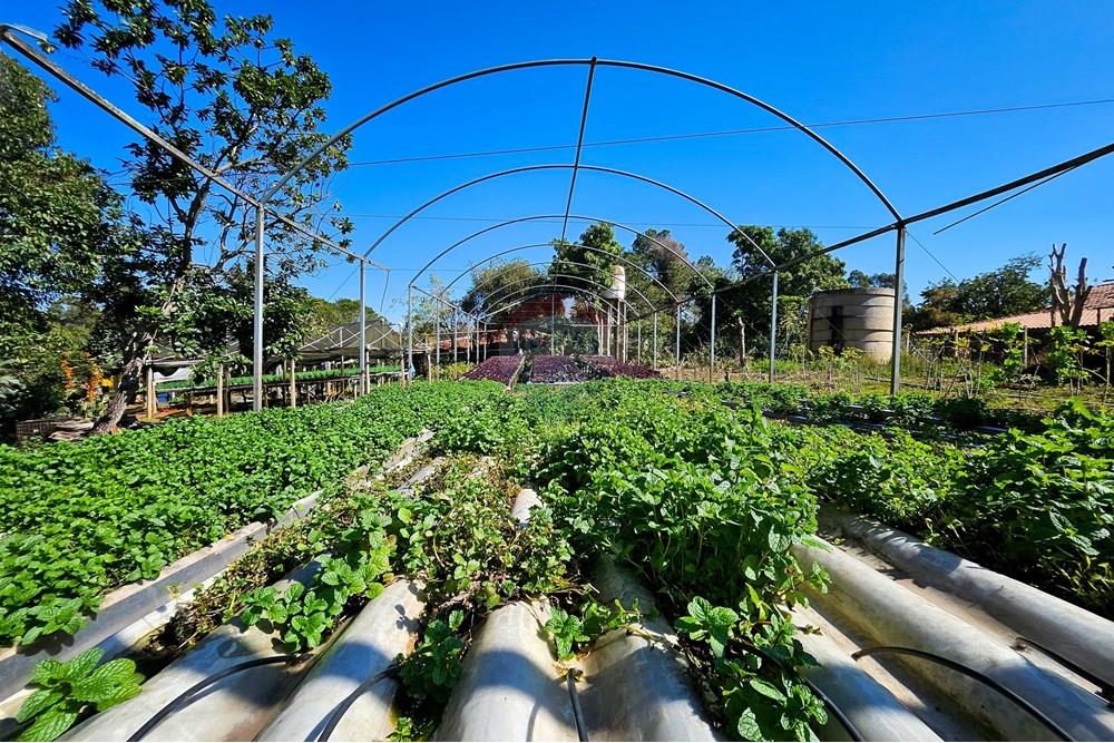 Fazenda - Venda - Botucatu , São Paulo - IMG-20250717-WA0057.jpg - 630111096-7