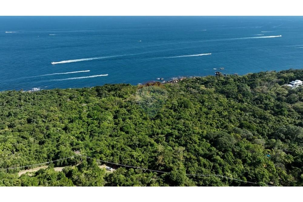 Terreno - Venda - Ilhabela , São Paulo - DJI_0139.00_00_26_23.Quadro006.jpg - 630951011-29