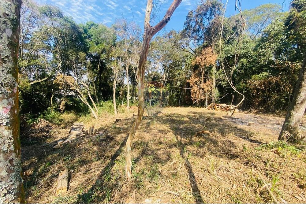 Terreno - Venda - Mairiporã , São Paulo - WhatsApp Image 2025-09-05 at 20.02.46.jpeg - 631361041-38