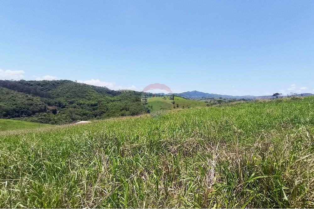 Terreno - Venda - Paraíba do Sul , Rio de Janeiro - IMG_20241112_115530.jpg - 631411001-81