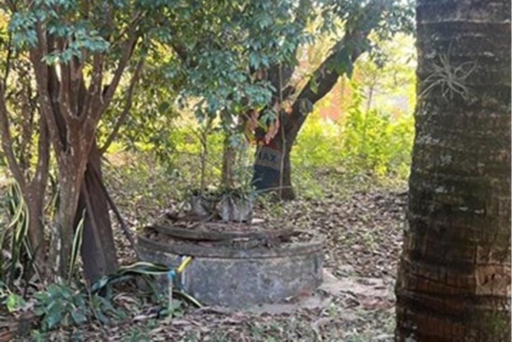 Chácara / Sítio / Fazenda - Venda - Araçoiaba da Serra , São Paulo - WhatsApp Image 2025-07-22 at 16.37.11.jpeg - 630591061-125