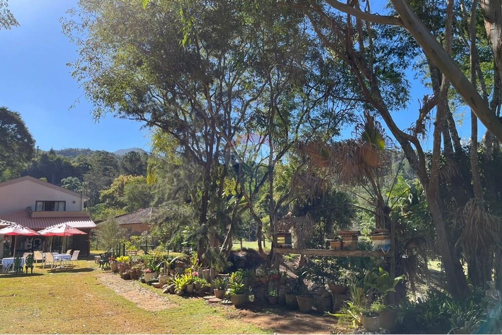 Chácara / Sítio / Fazenda - Venda - Teresópolis , Rio de Janeiro - WhatsApp Image 2025-08-05 at 12.43.22 (1).jpeg - 630191097-4